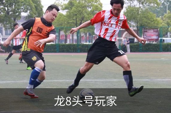 了解龙8头号玩家